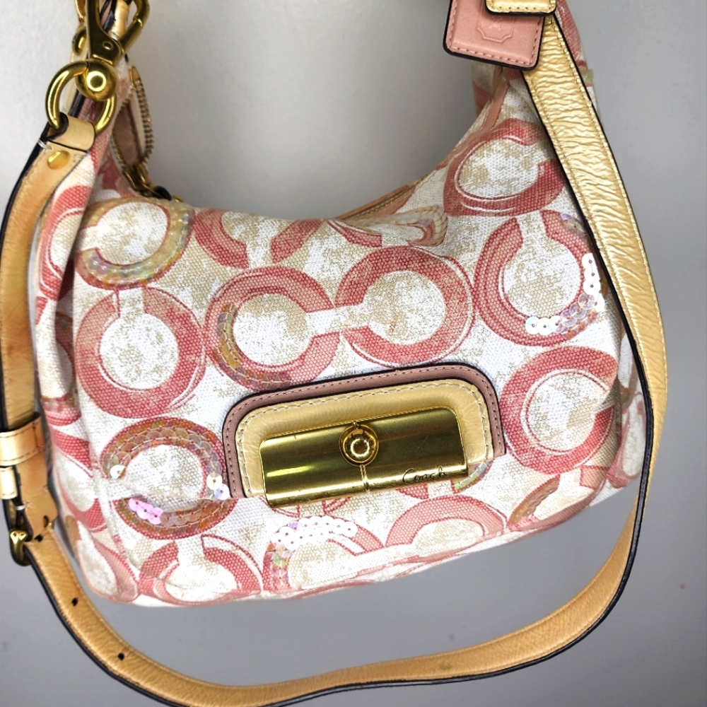 Kristen Sequin tote